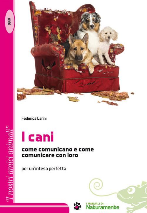 I cani, come comunicano e come comunicare con loro per un'intesa perfetta