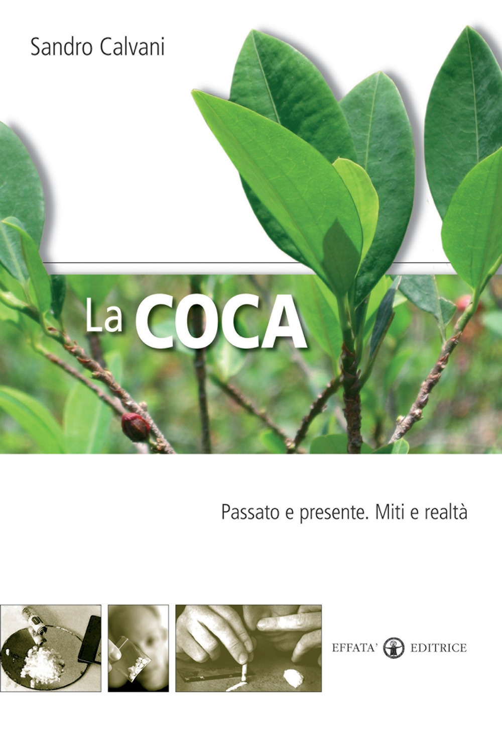 La coca. Passato e presente. Mito e realtà