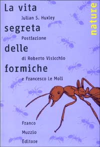 La vita segreta delle formiche