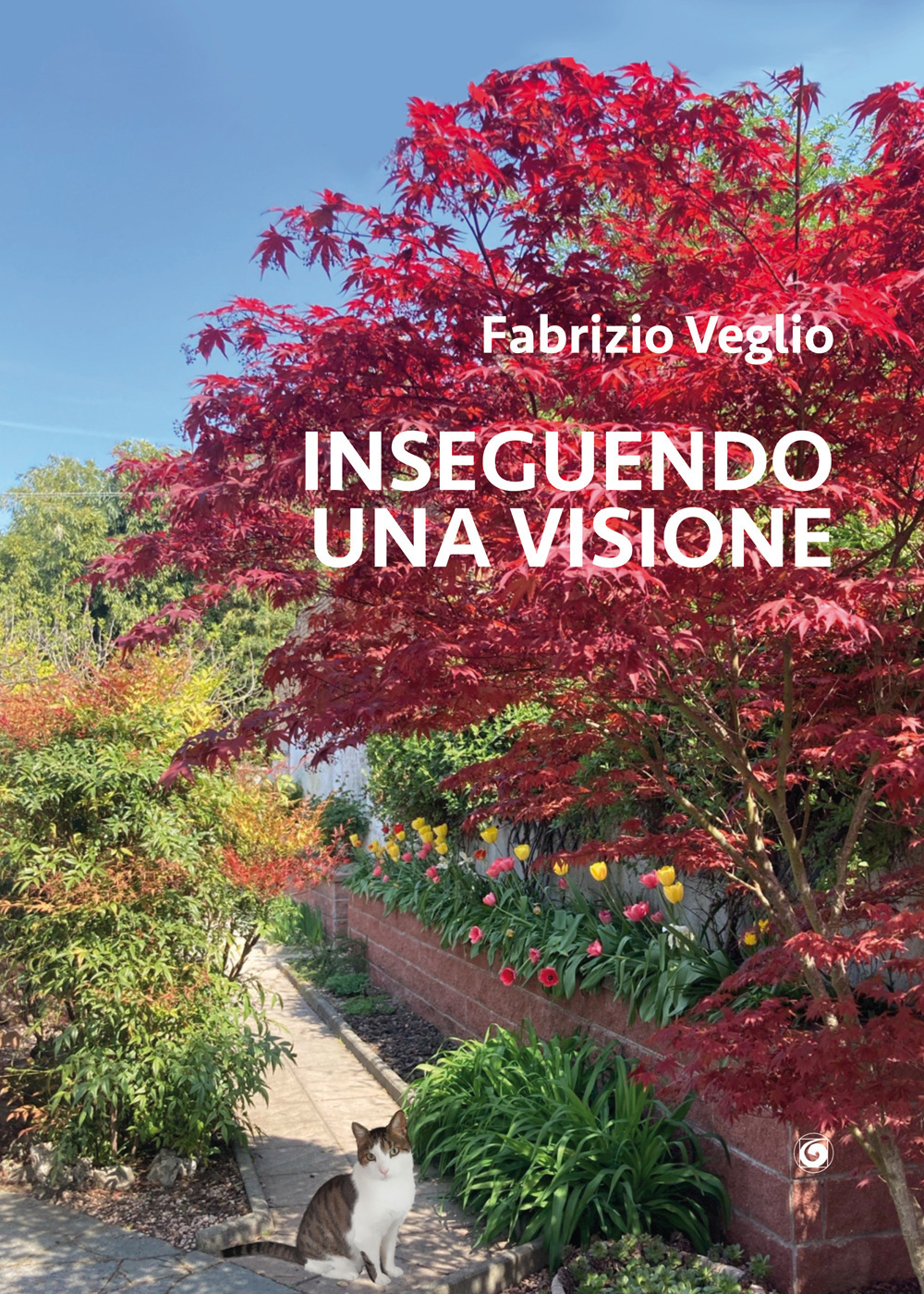 Inseguendo una visione