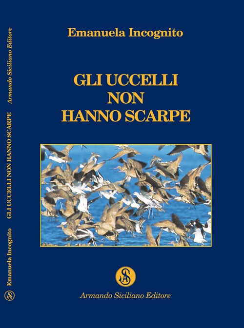 Gli uccelli non hanno scarpe