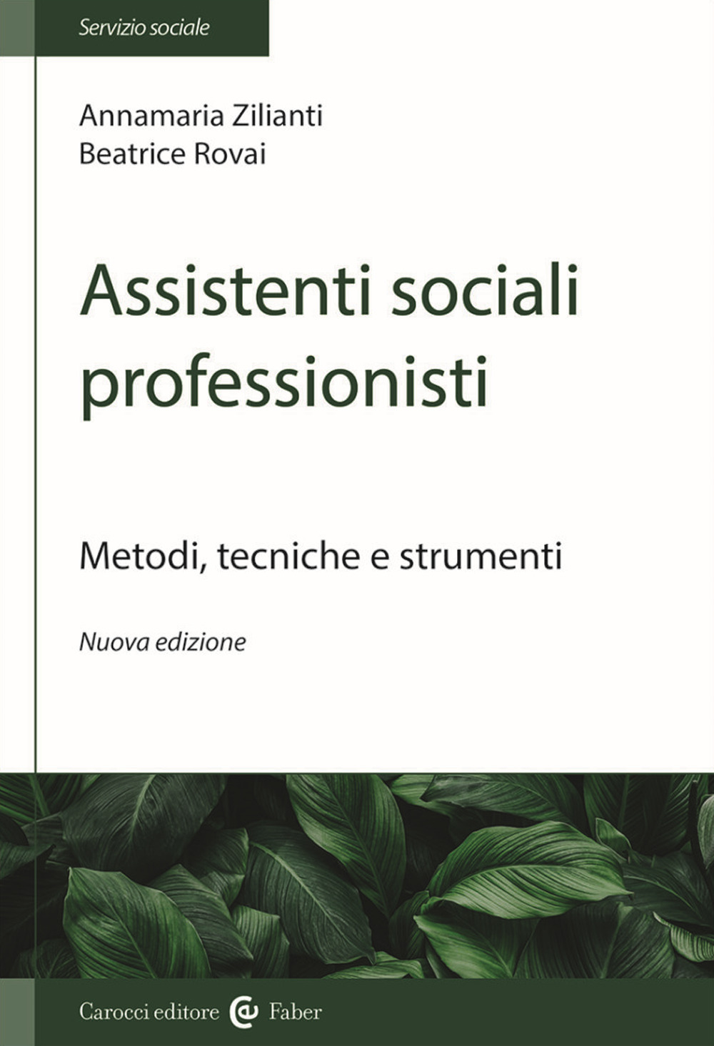 Assistenti sociali professionisti. Metodologia del lavoro sociale