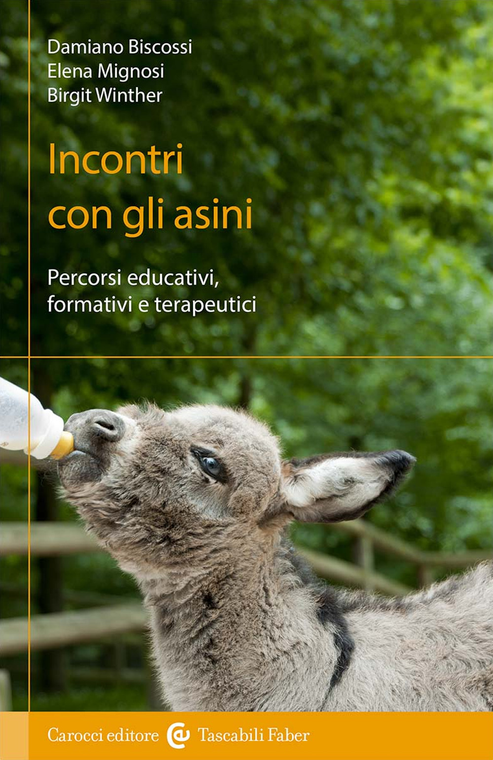 Incontri con gli asini. Percorsi educativi, formativi e terapeutici