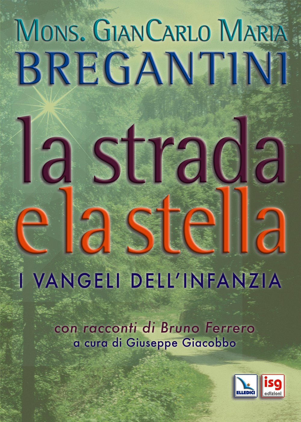 La strada e la stella. I vangeli dell'infanzia di Gesù