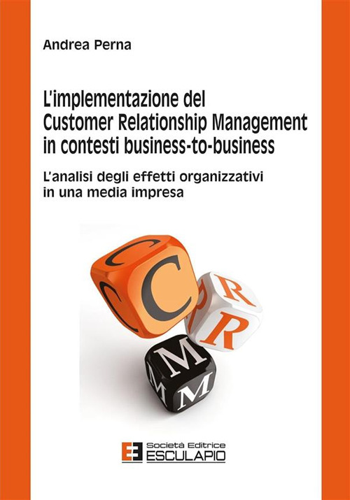 L'implementazione del customer relationship management in contesti business-to-business. L'analisi degli effetti organizzativi in una media impresa