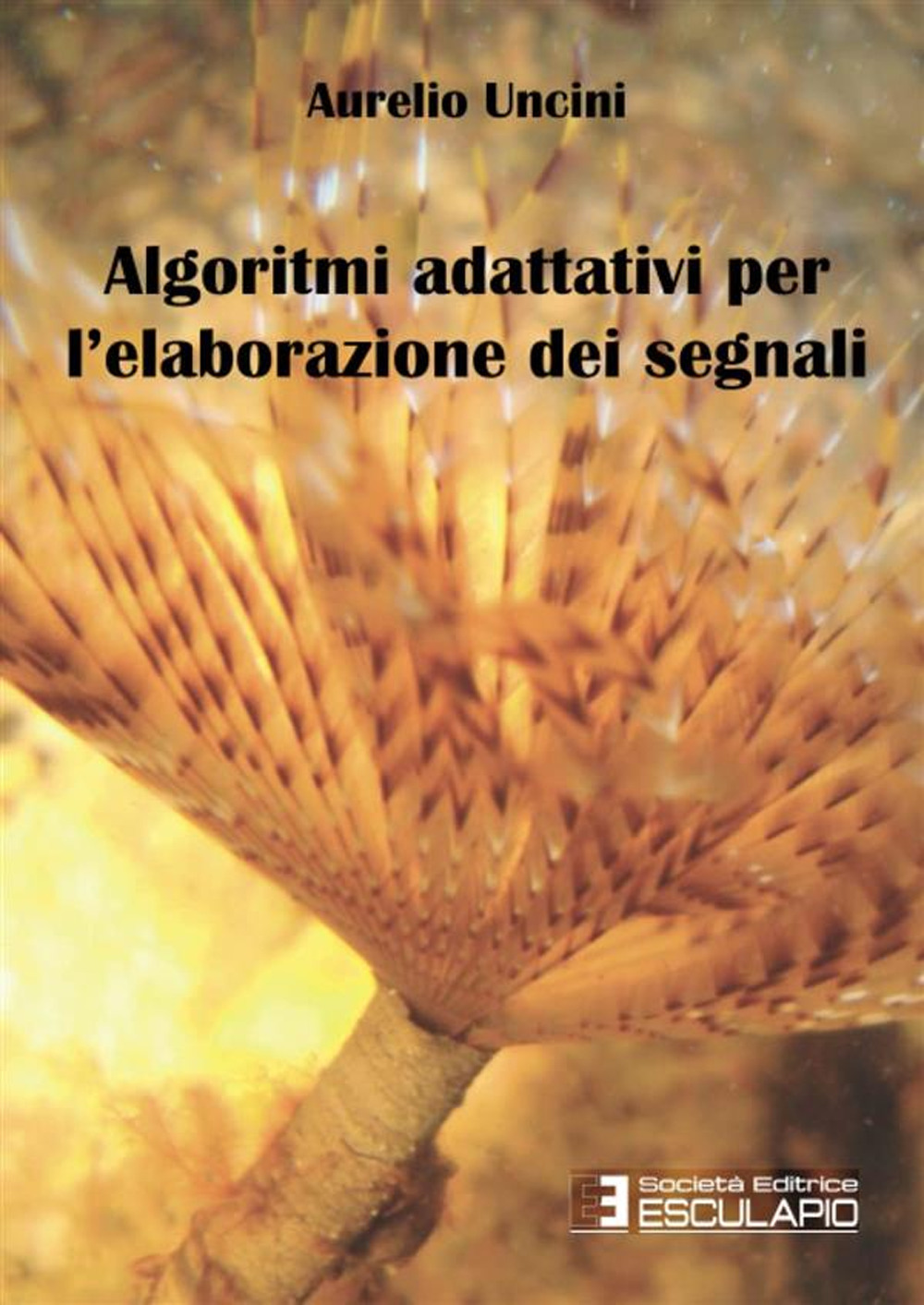 Algoritmi adattivi per l'elaborazione dei segnali