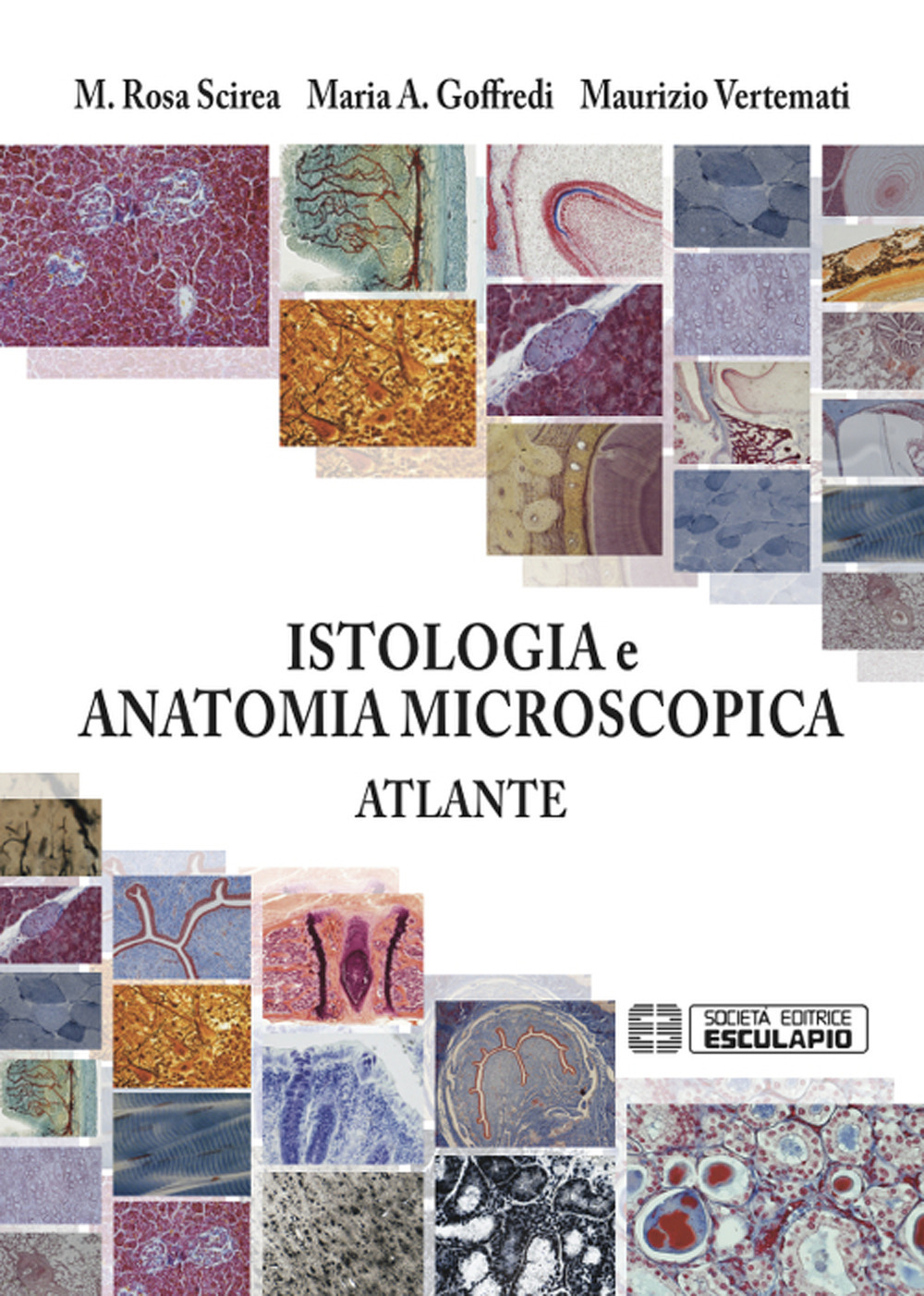 Istologia e anatomia microscopica. Atlante