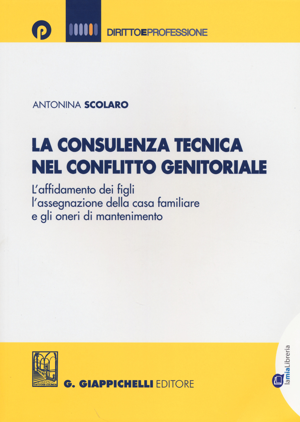 La consulenza tecnica nel conflitto genitoriale. L'affidamento dei figli, l'assegnazione della casa familiare e gli oneri di mantenimento