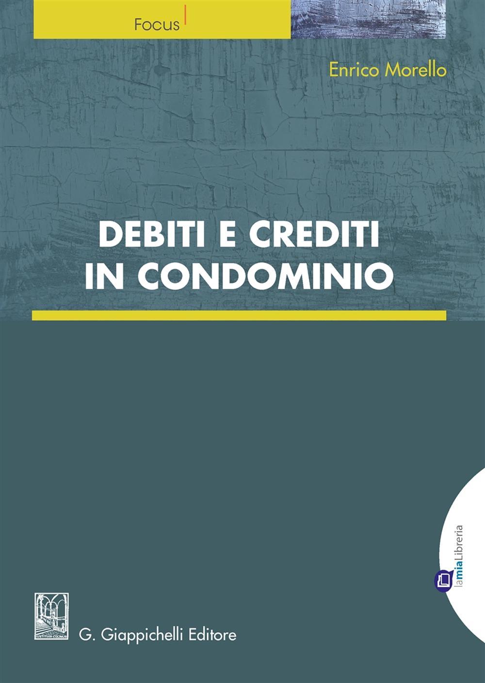 Debiti e crediti in condominio. Con e-book