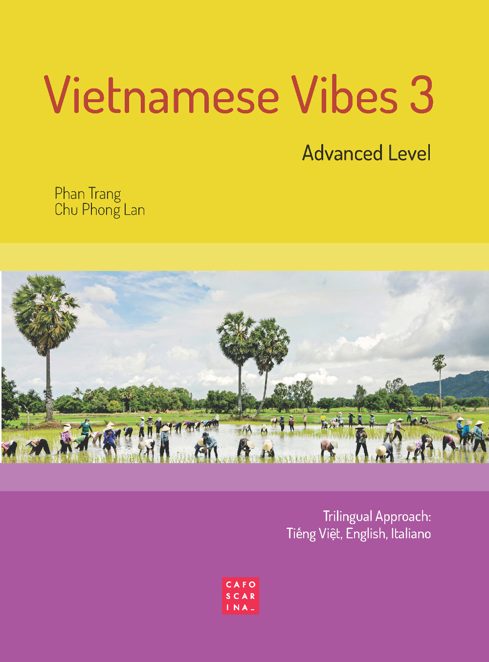 Vietnamese Vibes 3. Advanced level. Ediz. bilingue