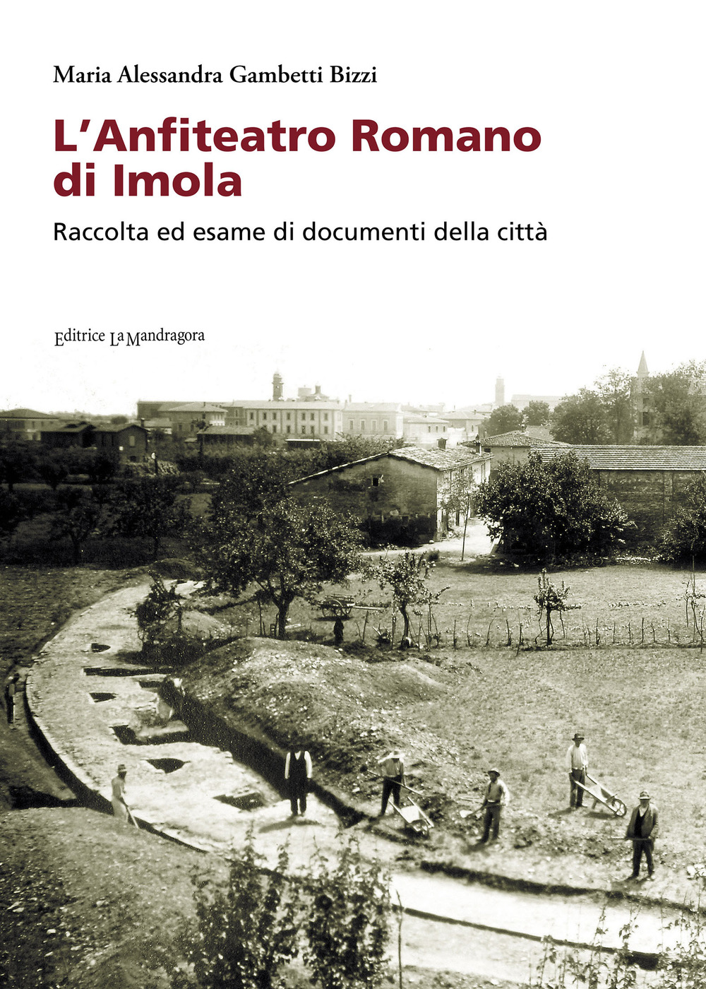 L'anfiteatro romano di Imola. Raccolta ed esame di documenti della città