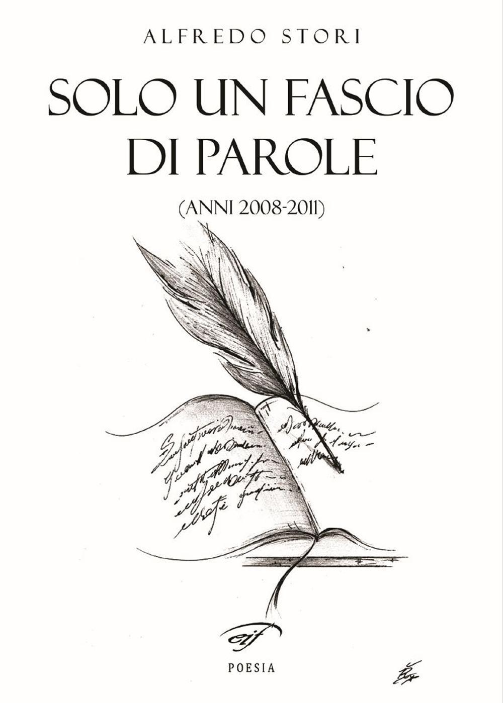 Solo un fascio di parole (anni 2008-2011)