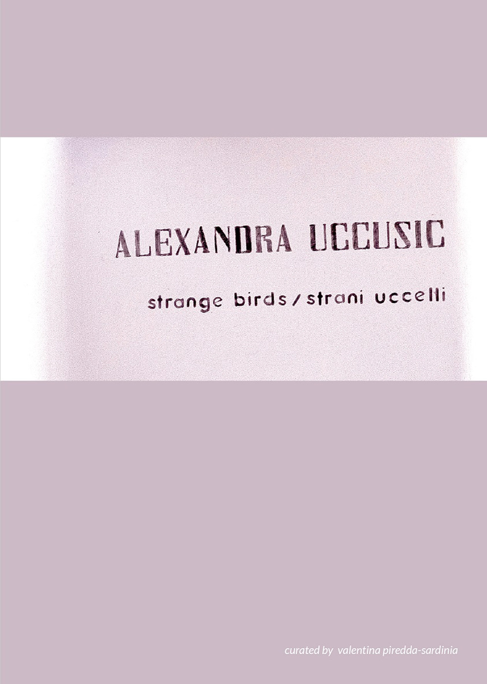 Alexandra Uccusic. Strange birds-Strani uccelli. Ediz. bilingue