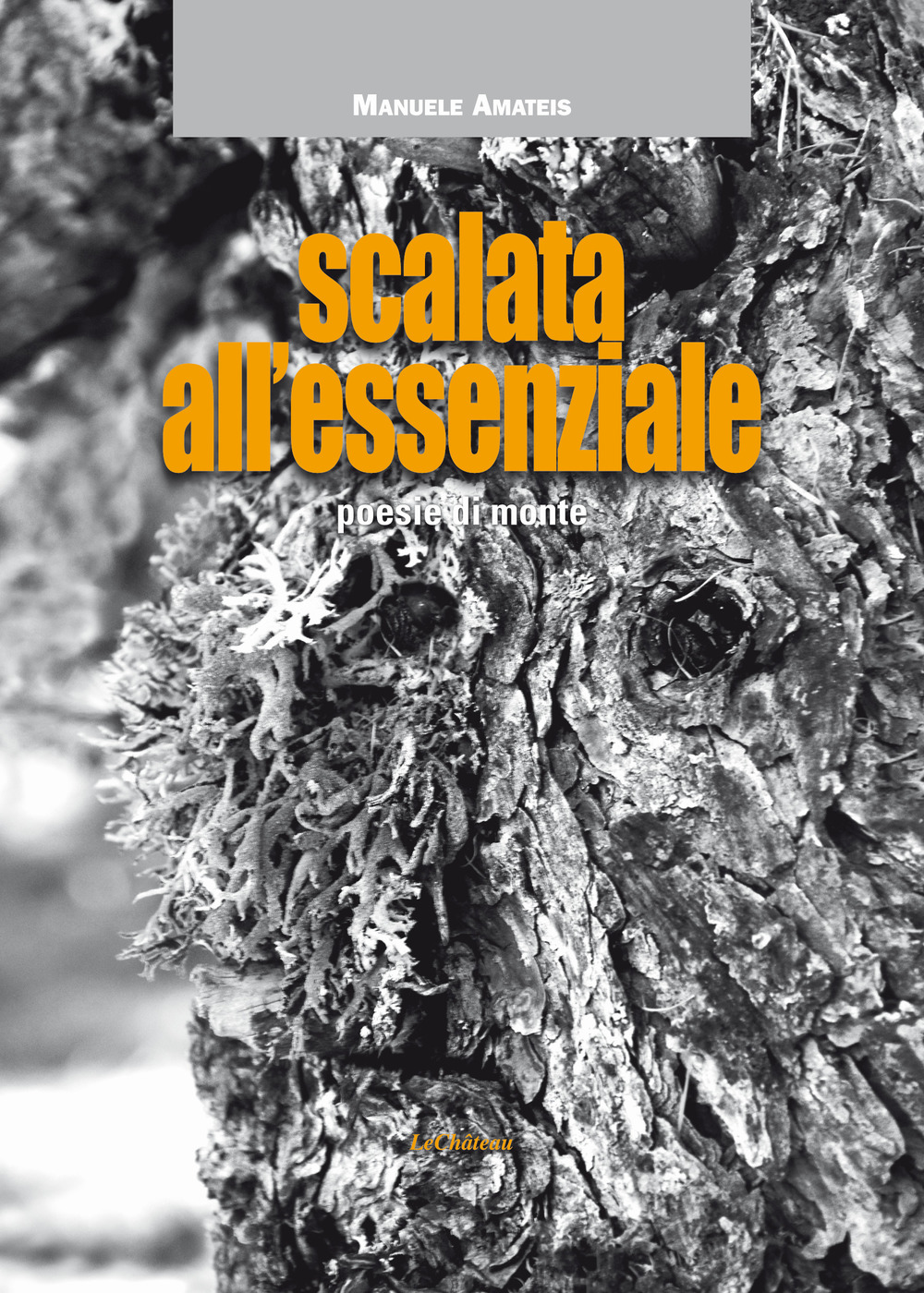 Scalata all'Essenziale