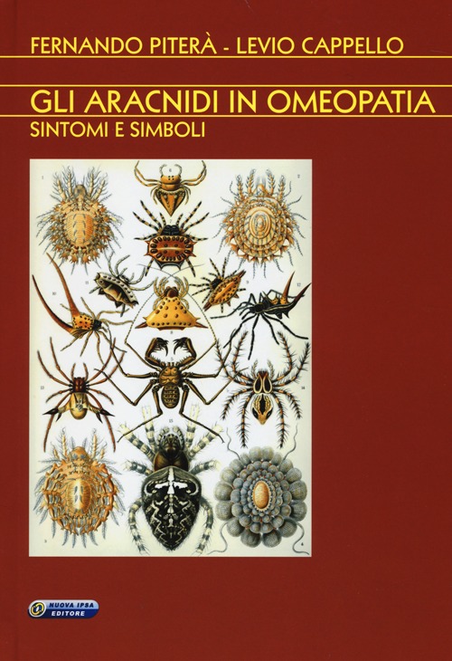 Gli aracnidi in omeopatia. Sintomi e simboli