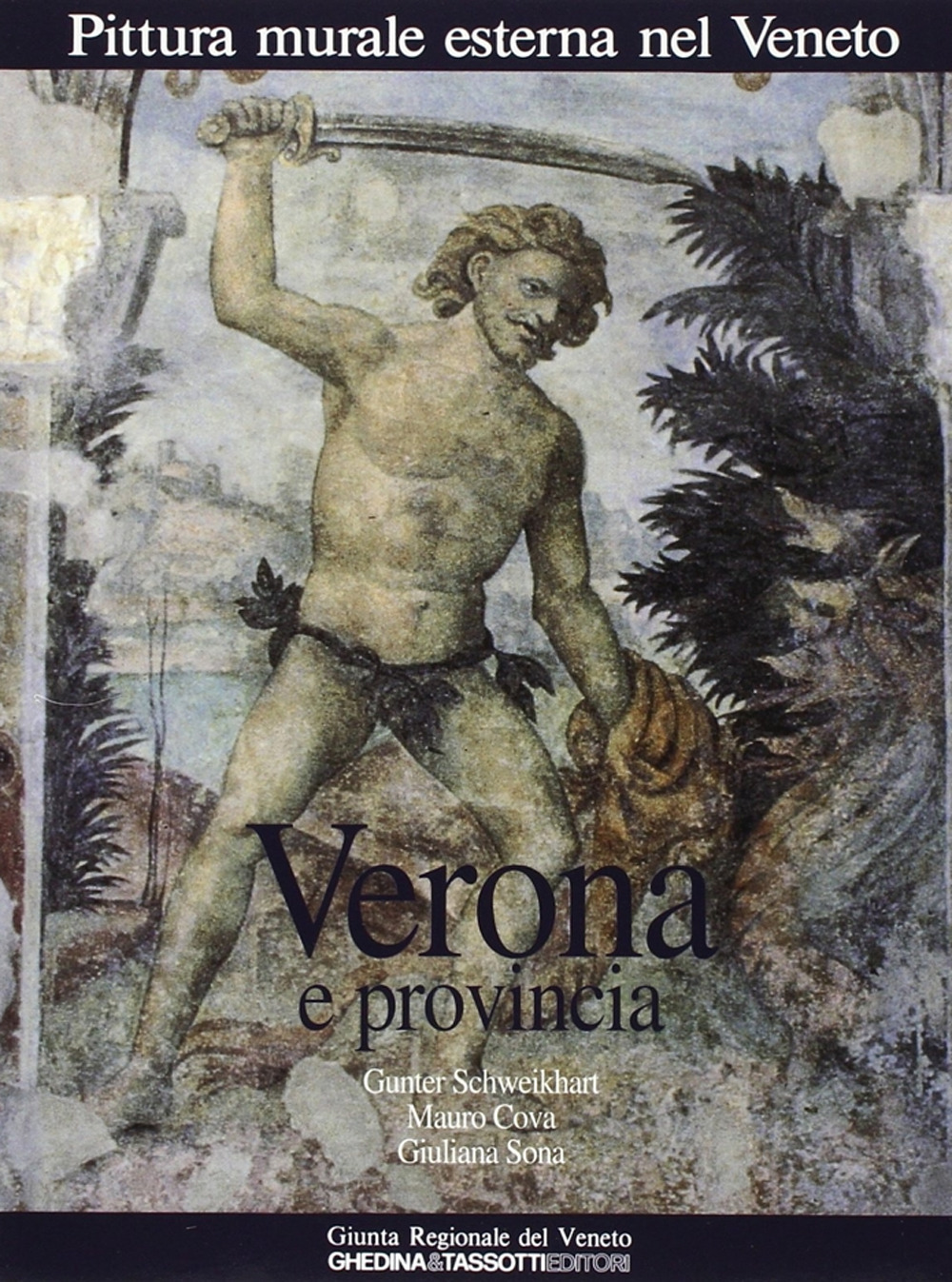 Pittura murale esterna nel Veneto. Vol. 3: Verona e provincia