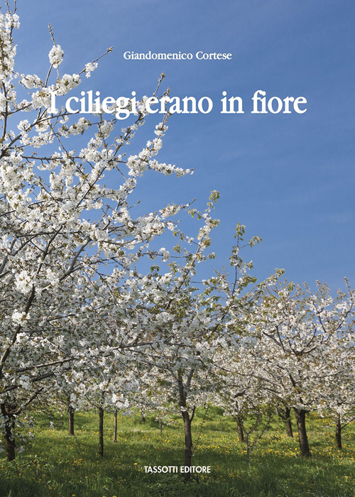 I ciliegi erano in fiore