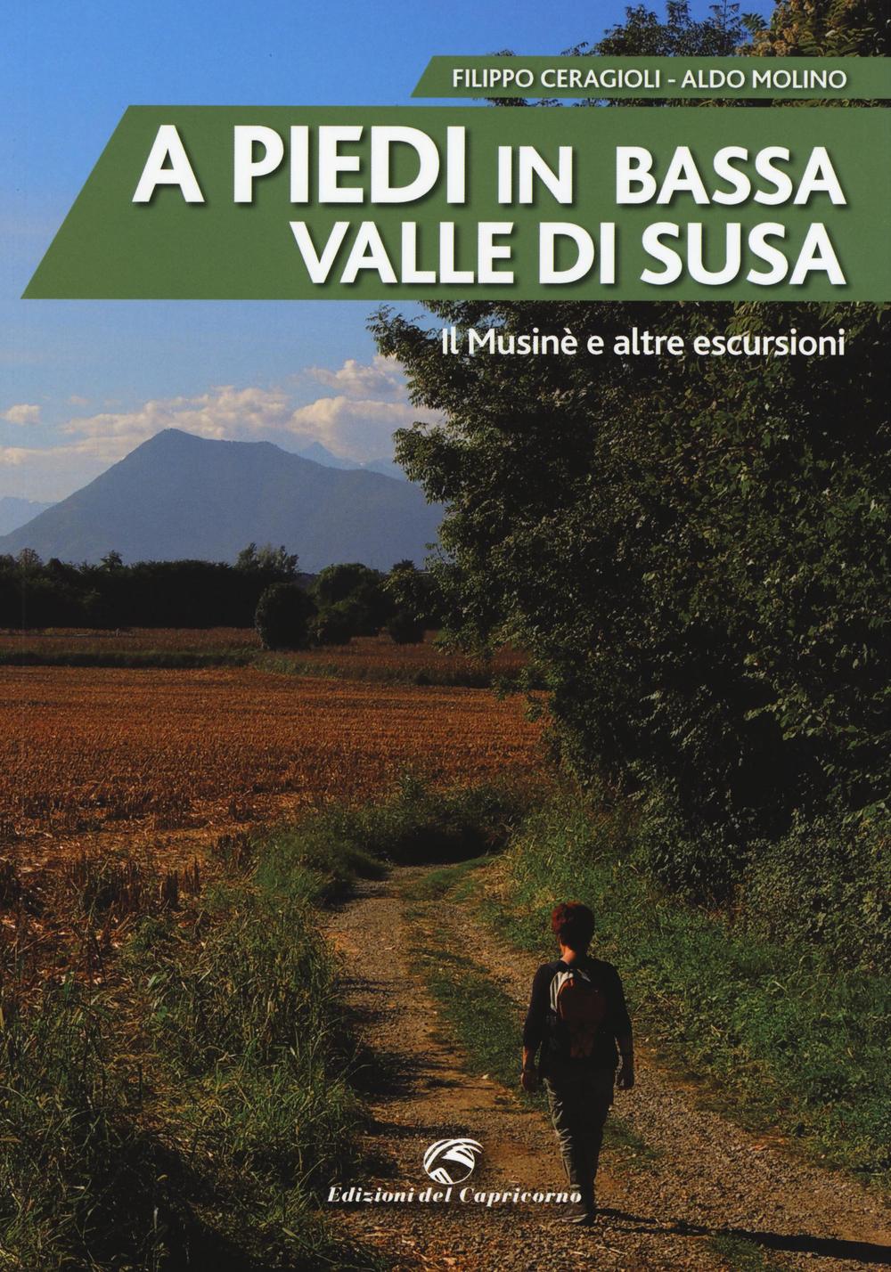 A piedi in bassa Valle di Susa. Il Musinè e altre escursioni