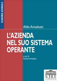 L'azienda nel suo sistema operante