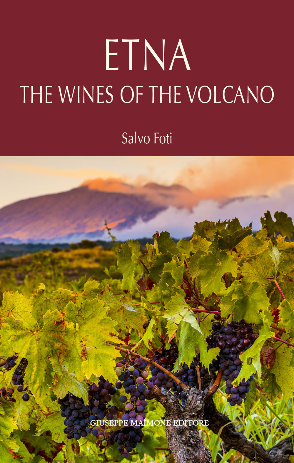 Etna. I vini del vulcano. Ediz. inglese