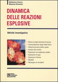 Dinamica delle reazioni esplosive. Attività investigativa