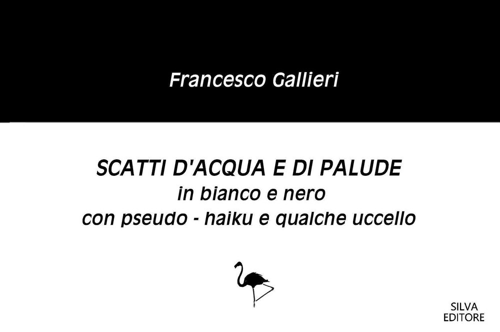 Scatti d'acqua e di palude in bianco e nero con pseudo-haiku e qualche uccello