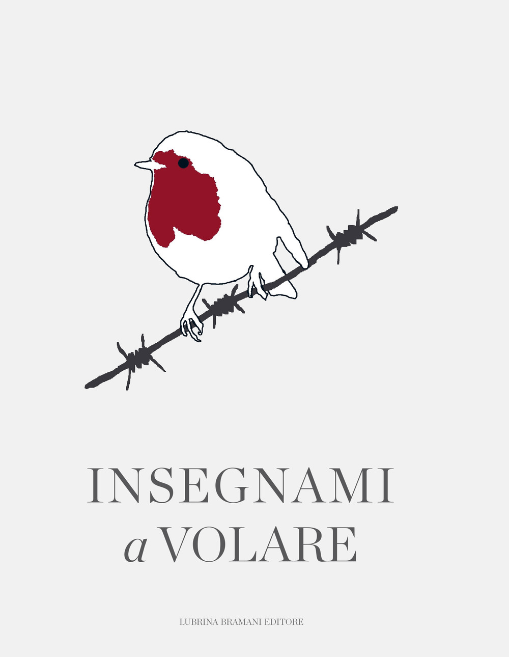 Insegnami a volare