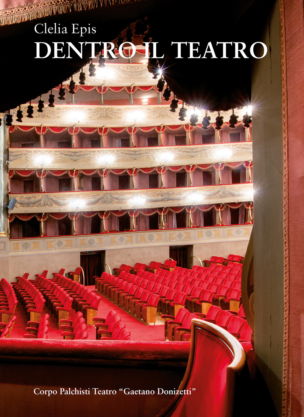 Dentro il teatro. I palchisti tra teatro Riccardi e teatro Donizetti