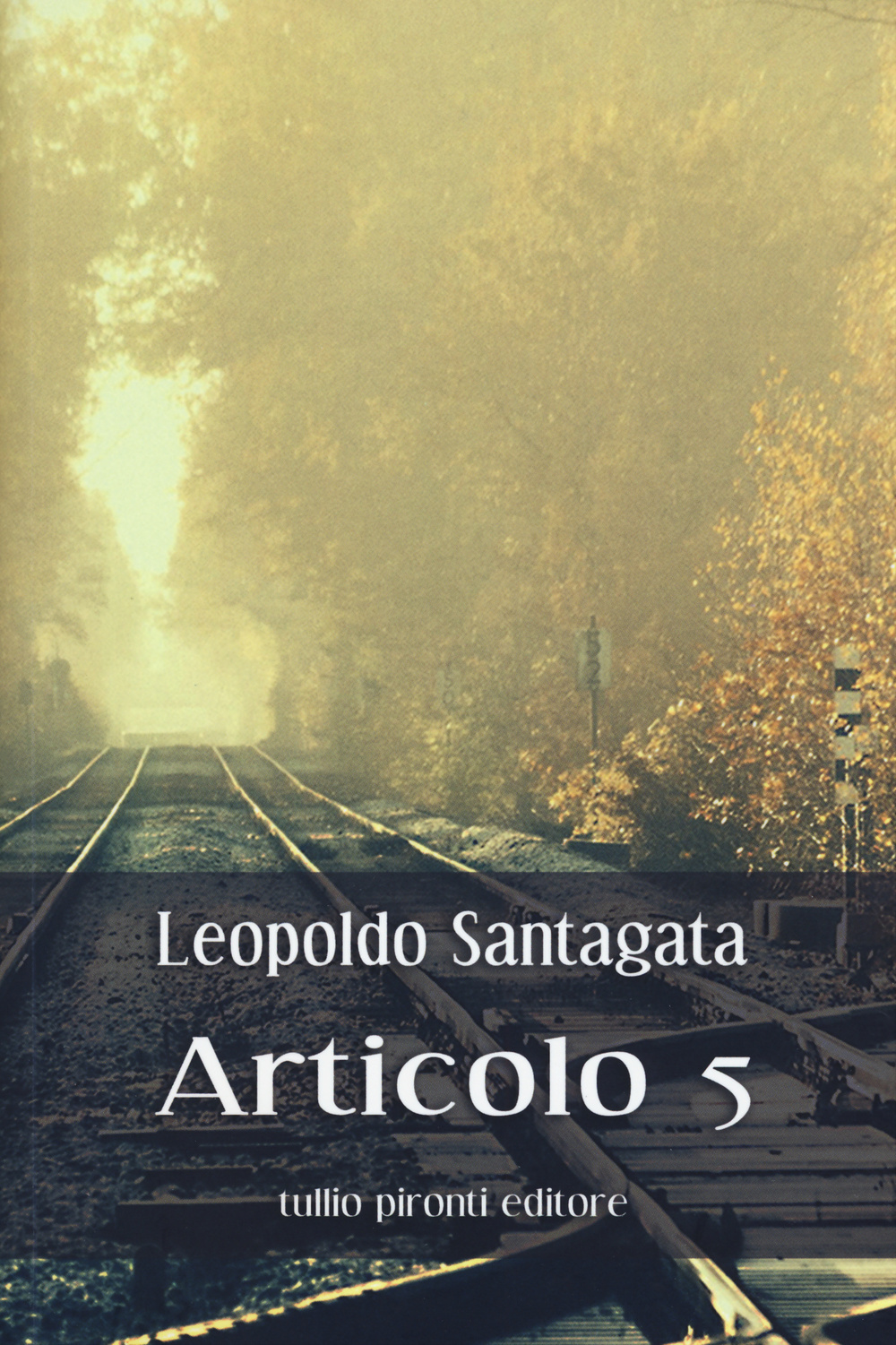 Articolo 5