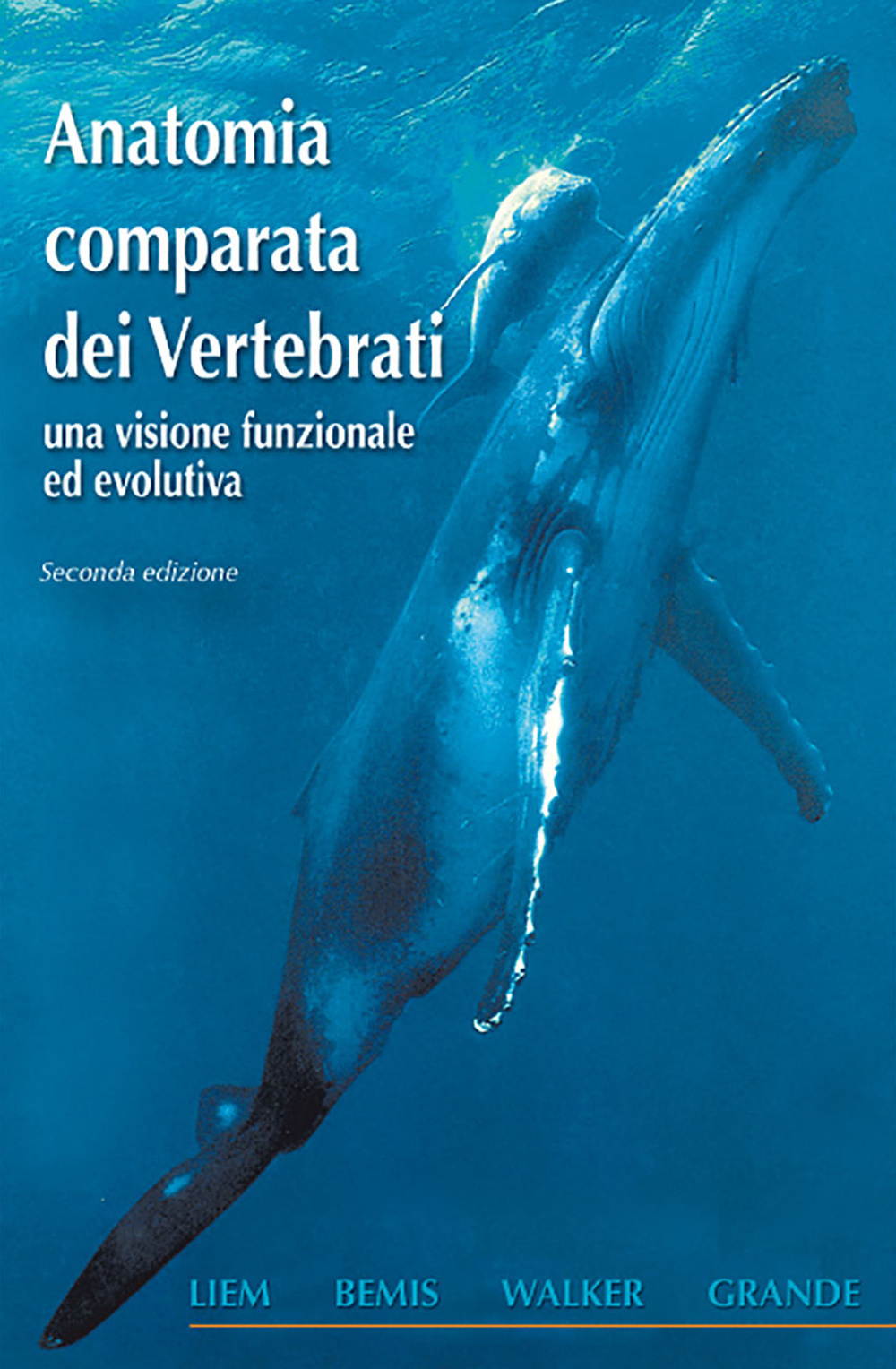 Anatomia comparata dei vertebrati. Una visione funzionale ed evolutiva