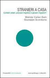 Stranieri a casa. Contesti urbani, processi migratori e giovani migranti. Vol. 1