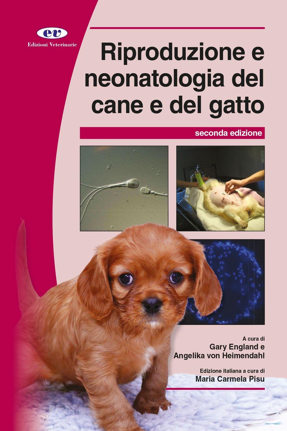 Riproduzione e neonatologia del cane e del gatto. Manuale BSAVA