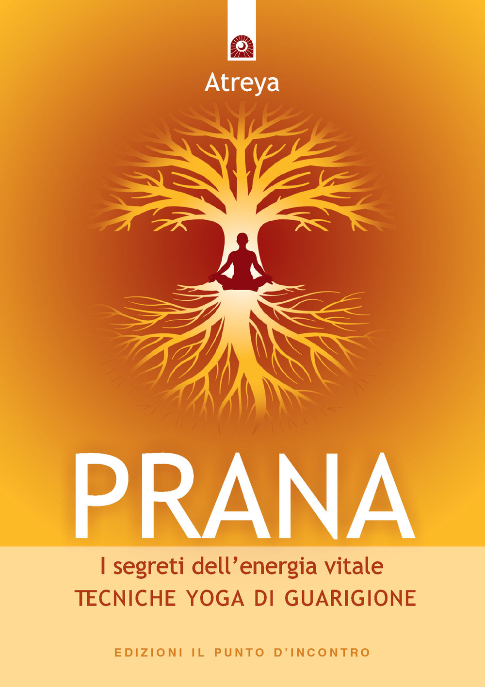 Prana. I segreti dell'energia vitale