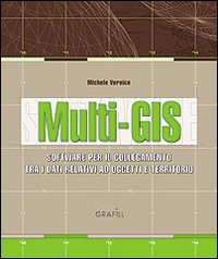 Multi-GIS. Software per il collegamento tra dati relativi ad un oggetto e la loro ubicazione sul territorio. Con Contenuto digitale per download e accesso on line