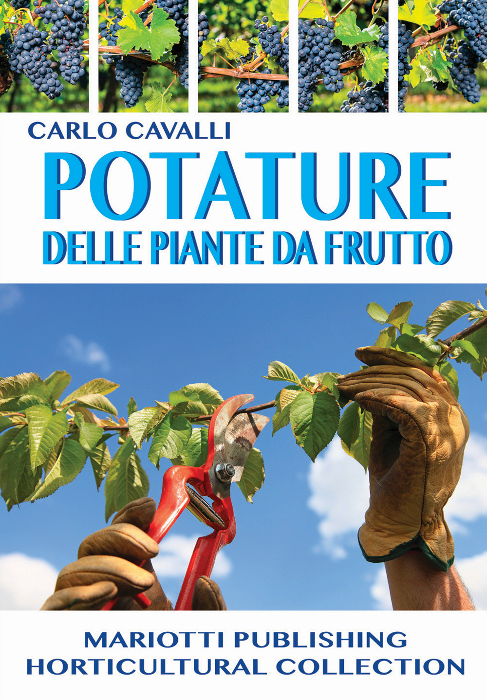 Potature delle piante da frutto