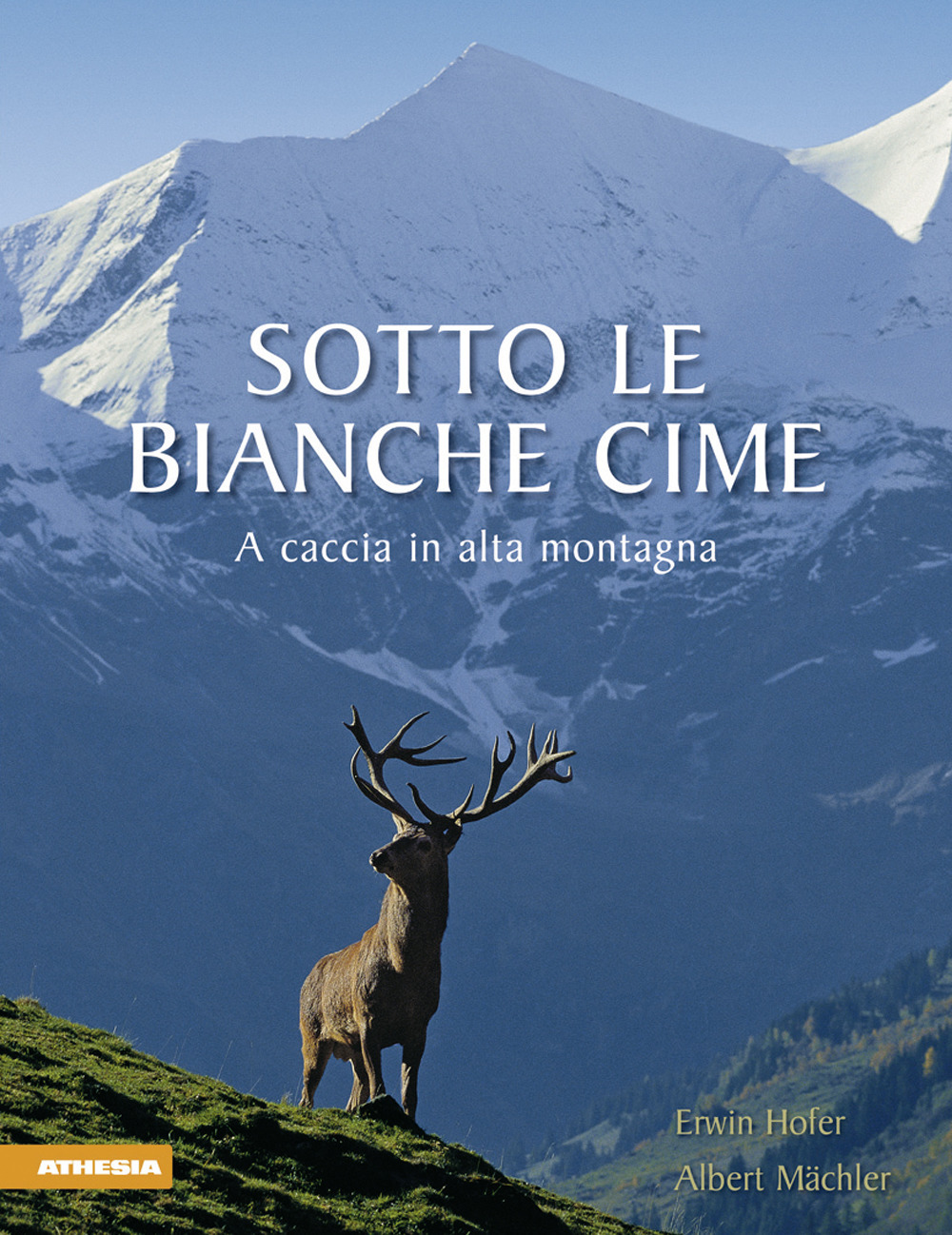 Sotto le bianche cime. A caccia in alta montagna