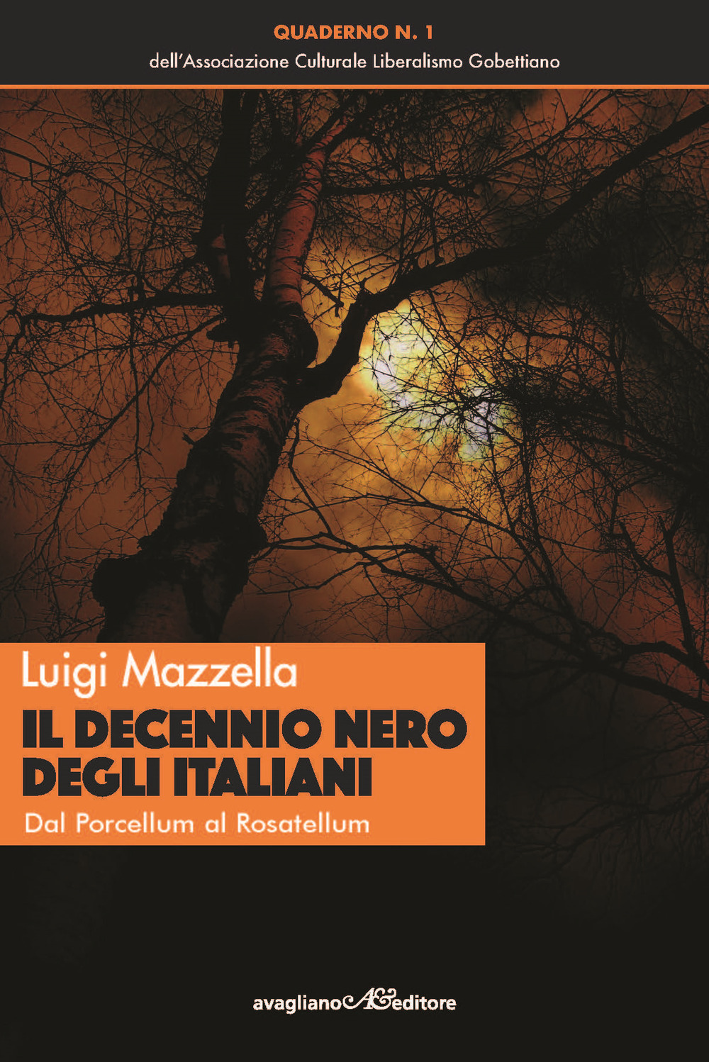 Il decennio nero degli italiani. Dal Porcellum al Rosatellum