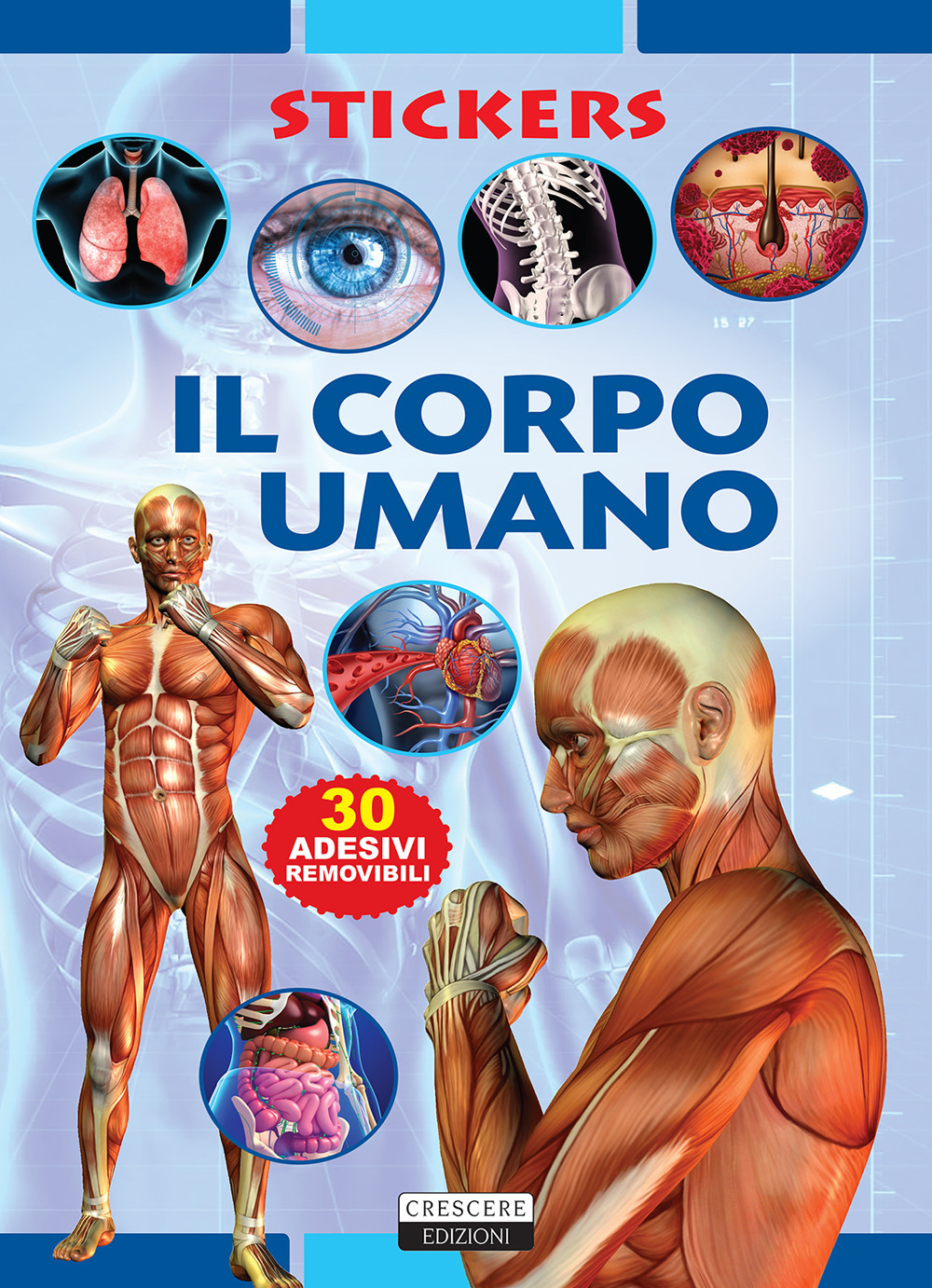 Il corpo umano. Con 30 adesivi removibili. Ediz. illustrata