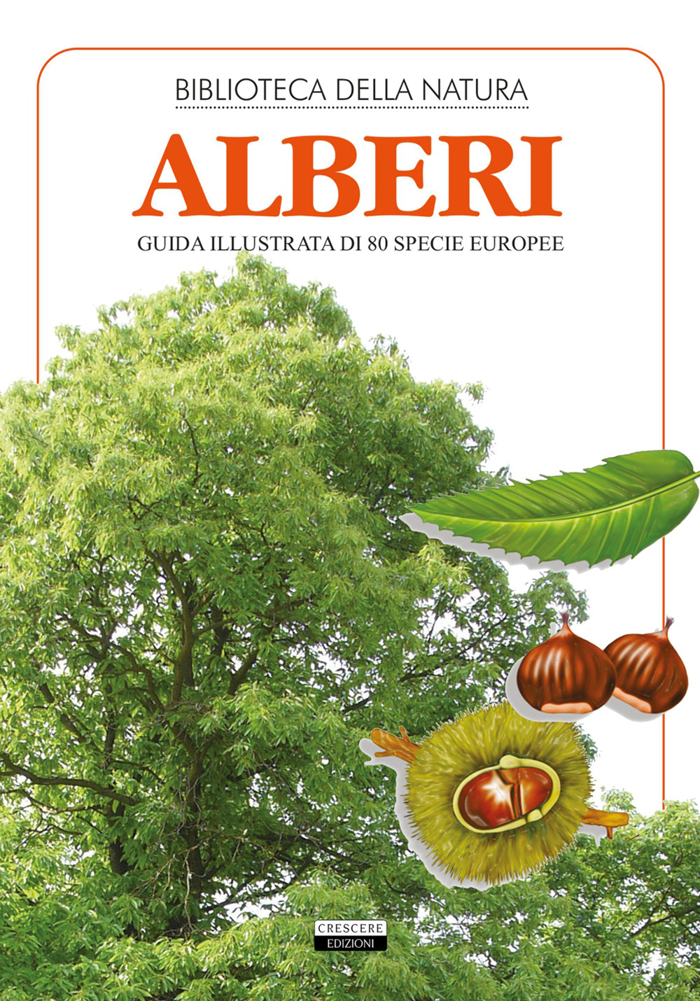 Alberi. Guida illustrata di 80 specie europee