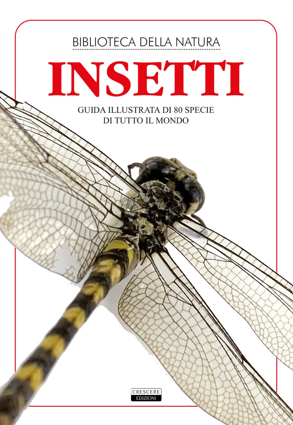 Insetti. Guida illustrata di 80 specie di tutto il mondo