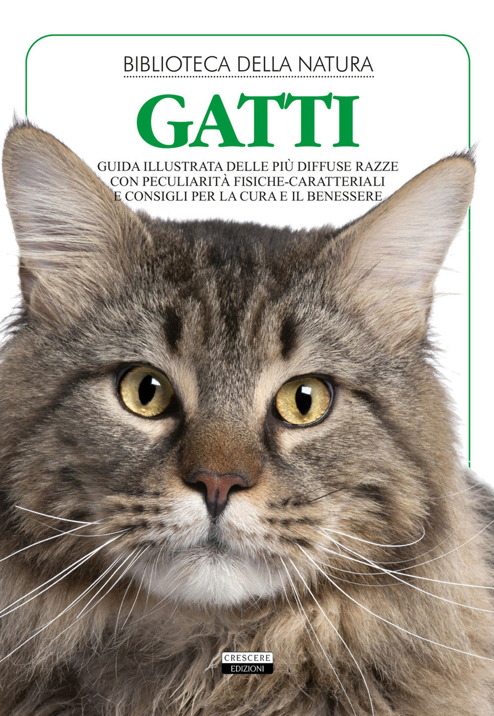 Gatti. Ediz. illustrata