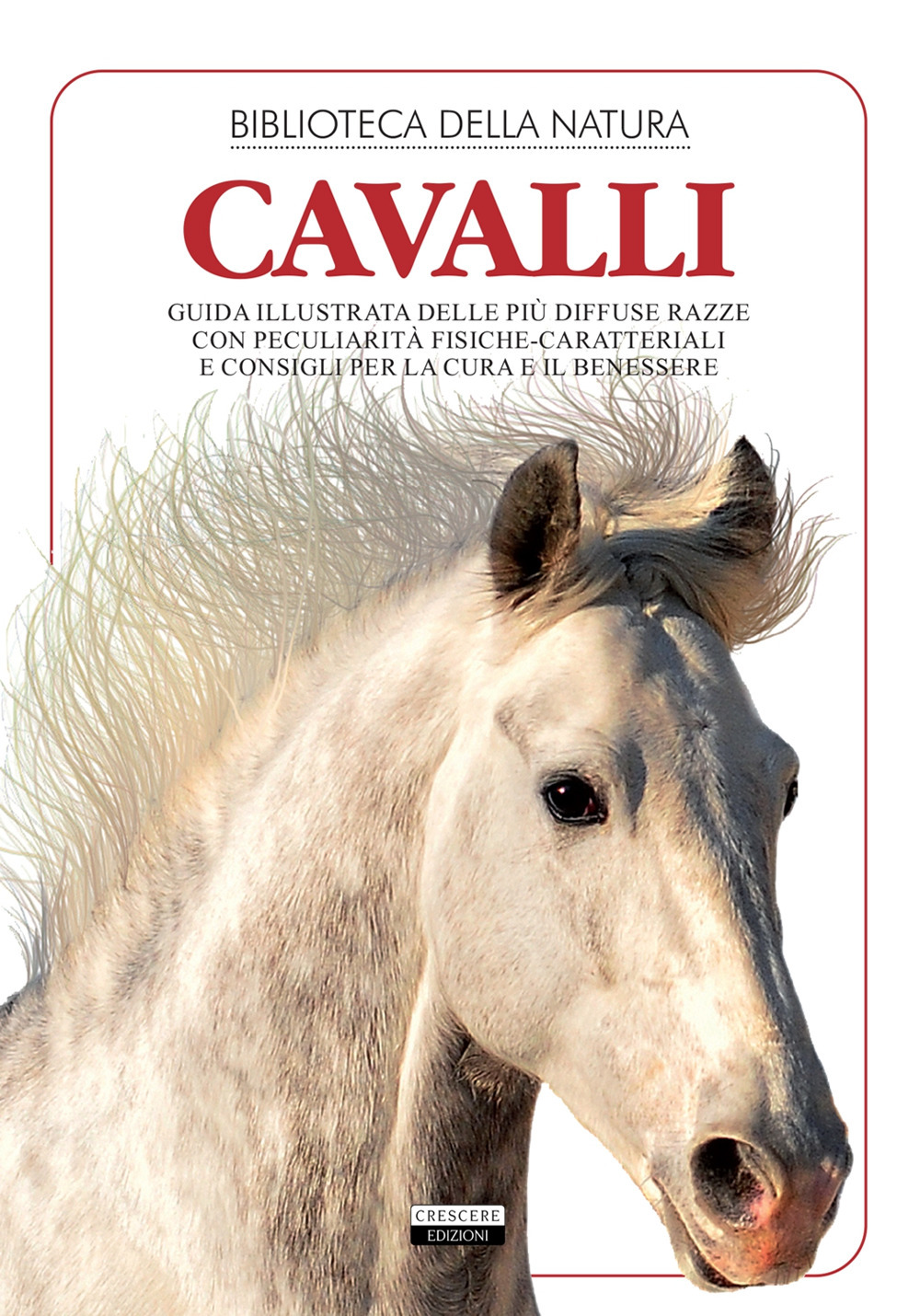 Cavalli. Ediz. illustrata