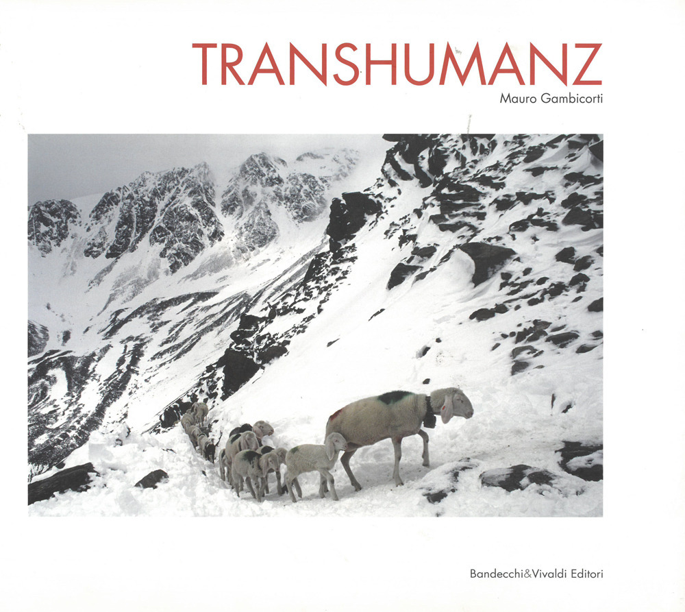 Transhumanz. Ediz. italiana, tedesca e inglese