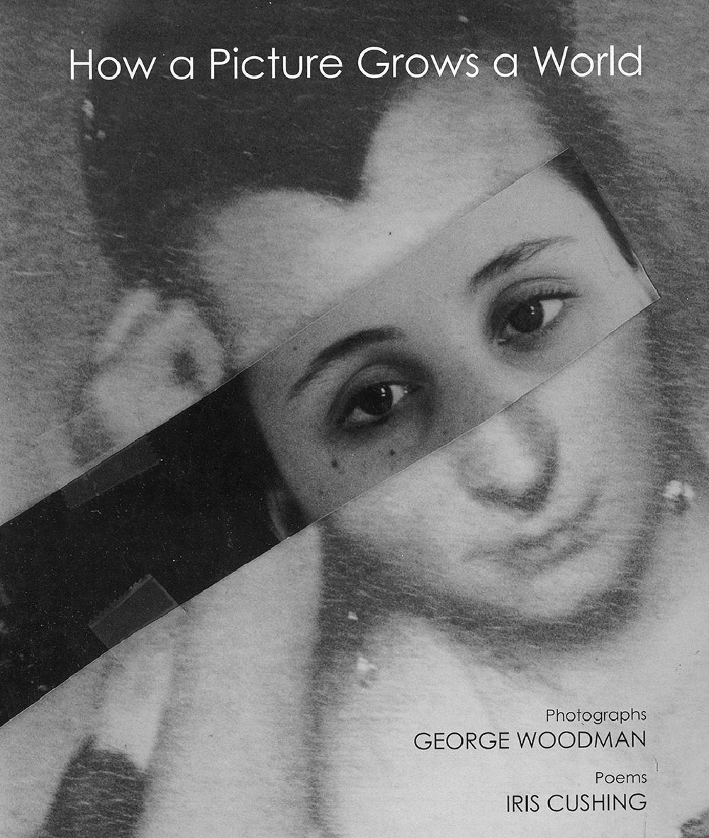How a picture grows a world