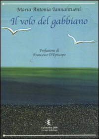 Il volo del gabbiano