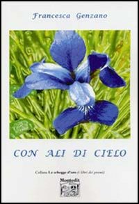 Con ali di cielo