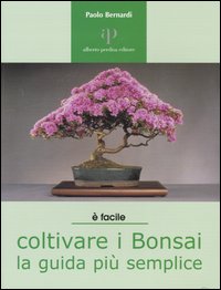 Coltivare i bonsai. La guida più semplice