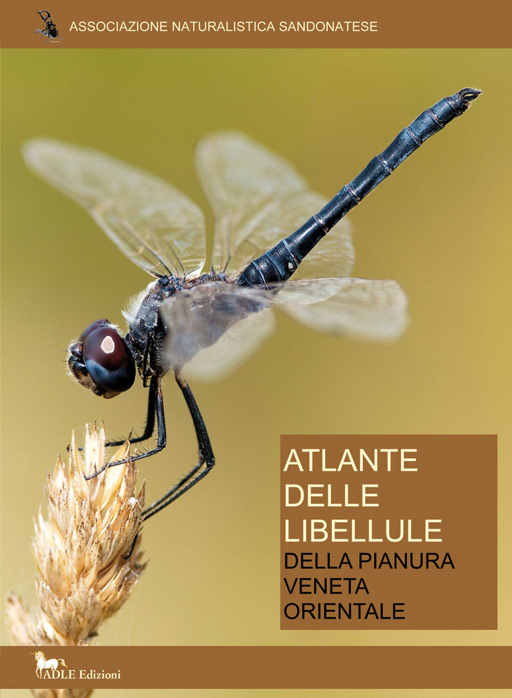 Atlante delle libellule della pianura veneta orientale