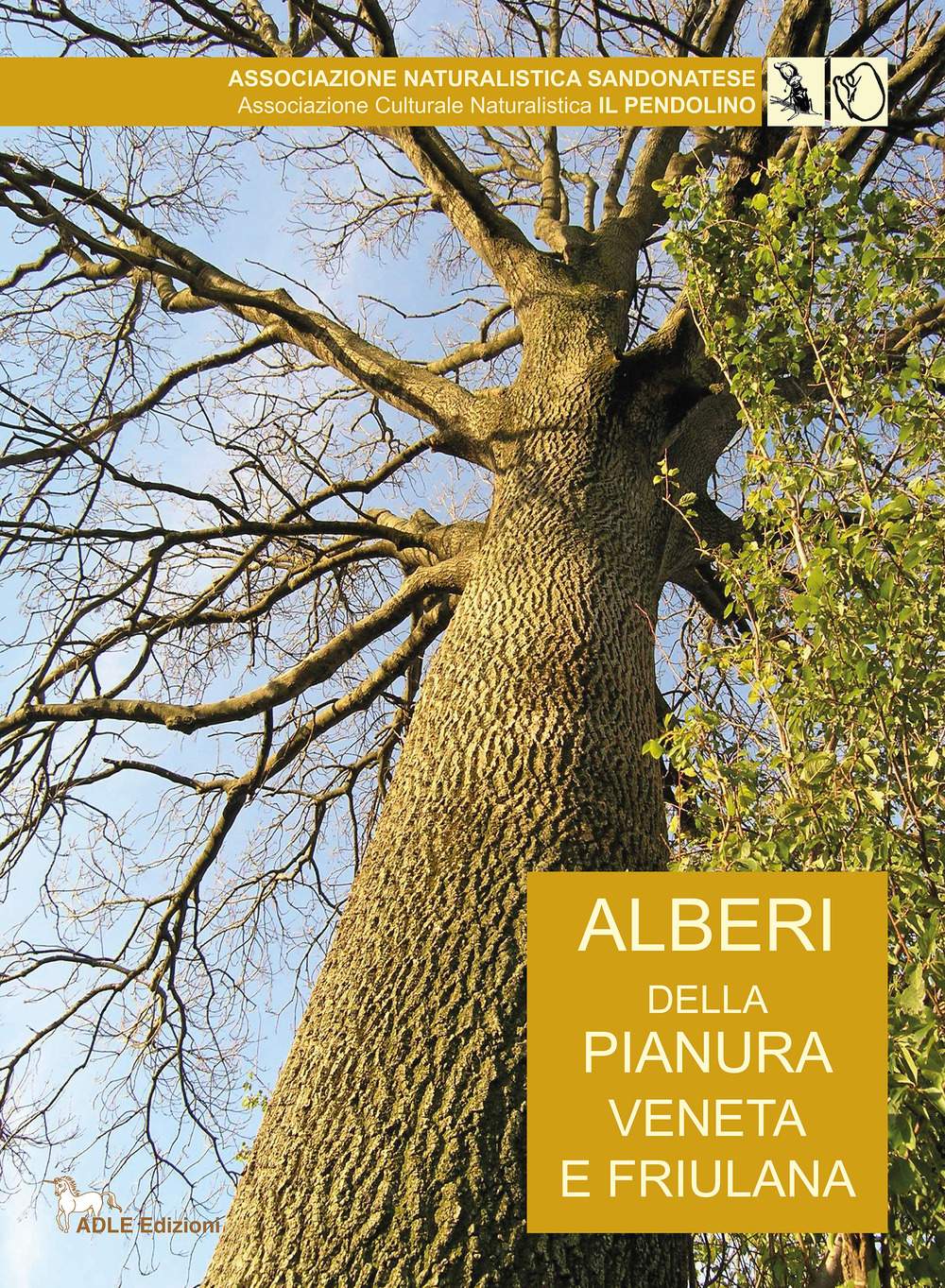 Alberi della pianura veneto friulana