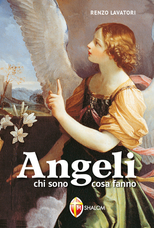 Angeli chi sono, cosa fanno